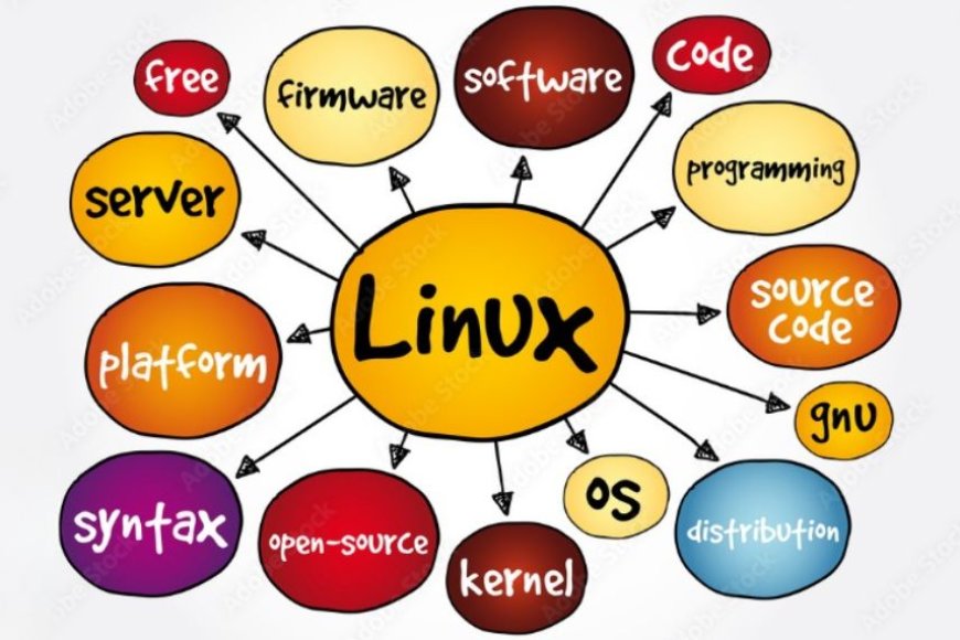 The World of Linux: An In-Depth Overview